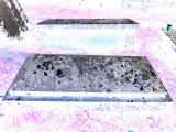 image of grave number 424955
